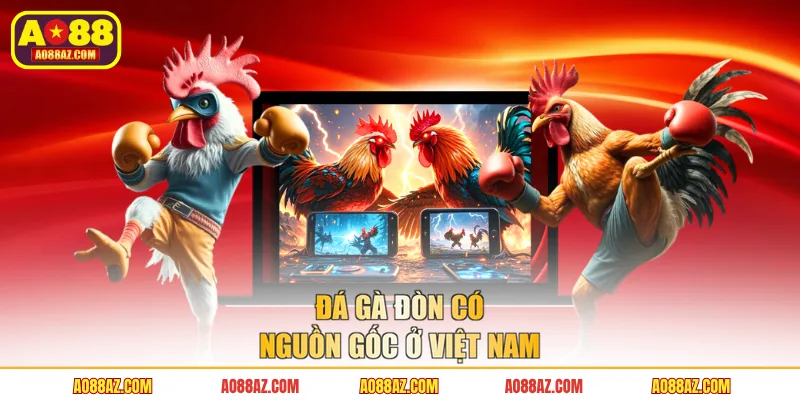 Đá gà đòn có nguồn gốc ở Việt Nam