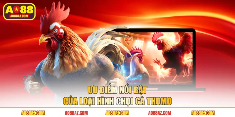 Ưu điểm nổi bật của loại hình chọi gà Thomo